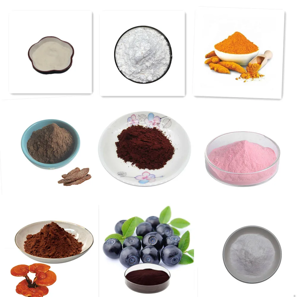 Free Shipping Natural Organic  - Indigo Dye Kit review and price